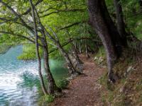 Malerischer Waldweg entlang dem Kozjak See - Plitvice NP